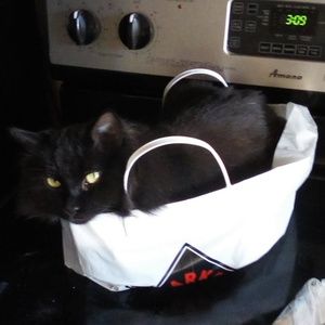 Meet your Posher, Kate